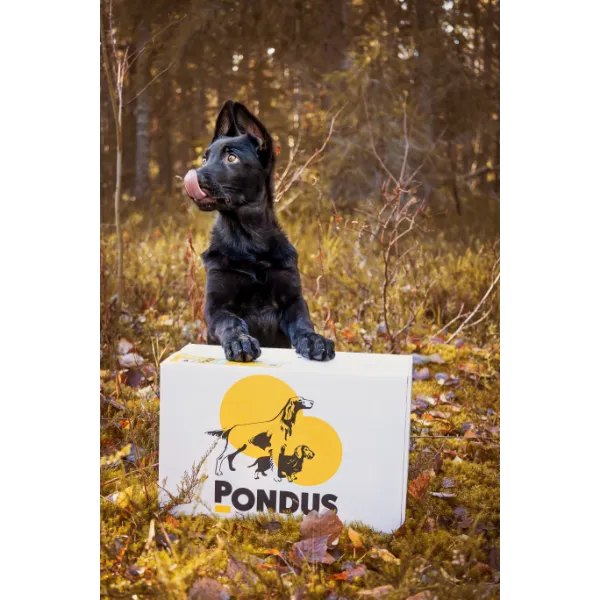 Pondus färskfoder