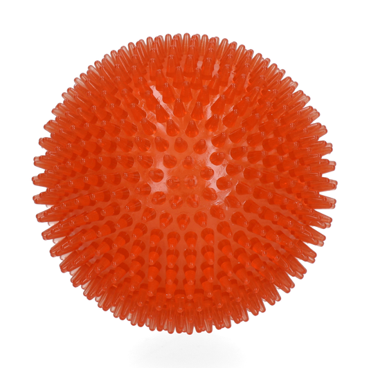 Dog Comets Exoplanet Orange L