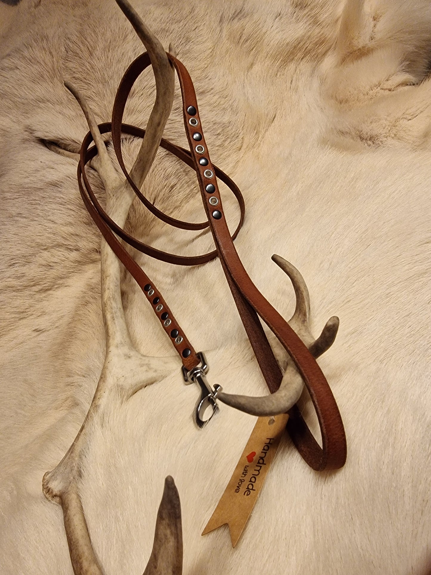 Hundkoppel DÅVLA 172 cm