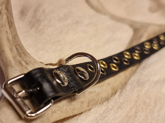 Hundhalsband SAAKSEN 22-25 cm