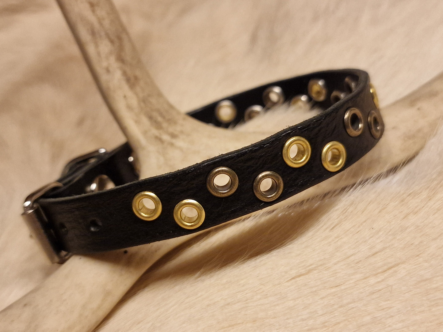 Hundhalsband SAAKSEN 22-25 cm