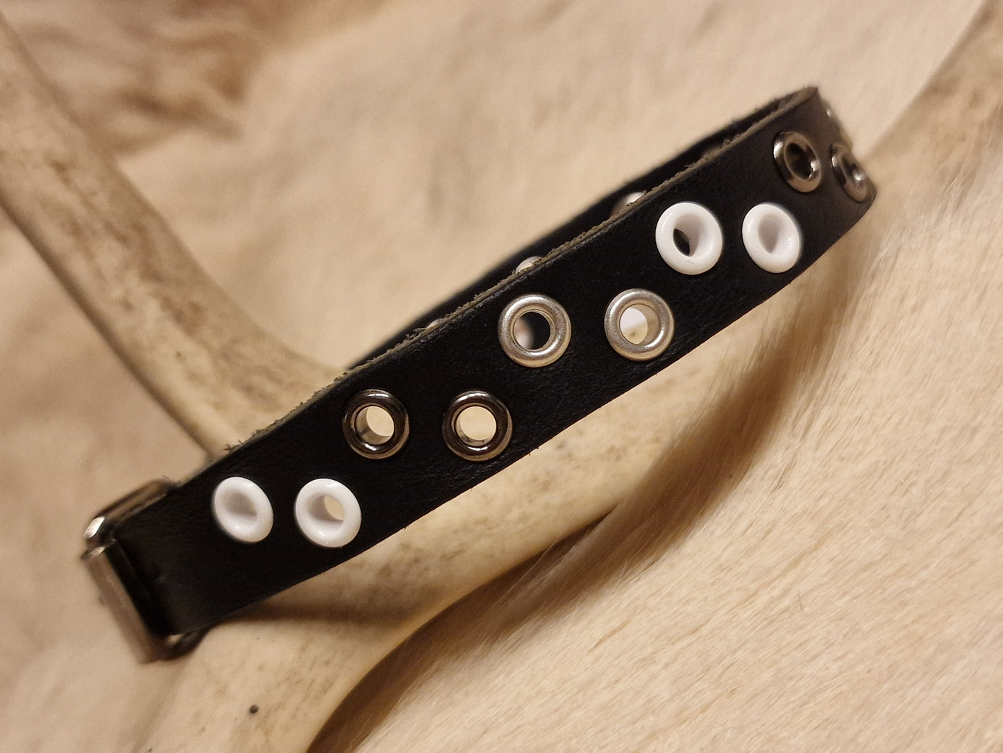 Hundhalsband SAAKSEN 25-28 cm