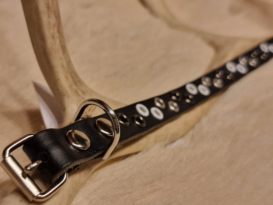 Hundhalsband SAAKSEN 25-28 cm