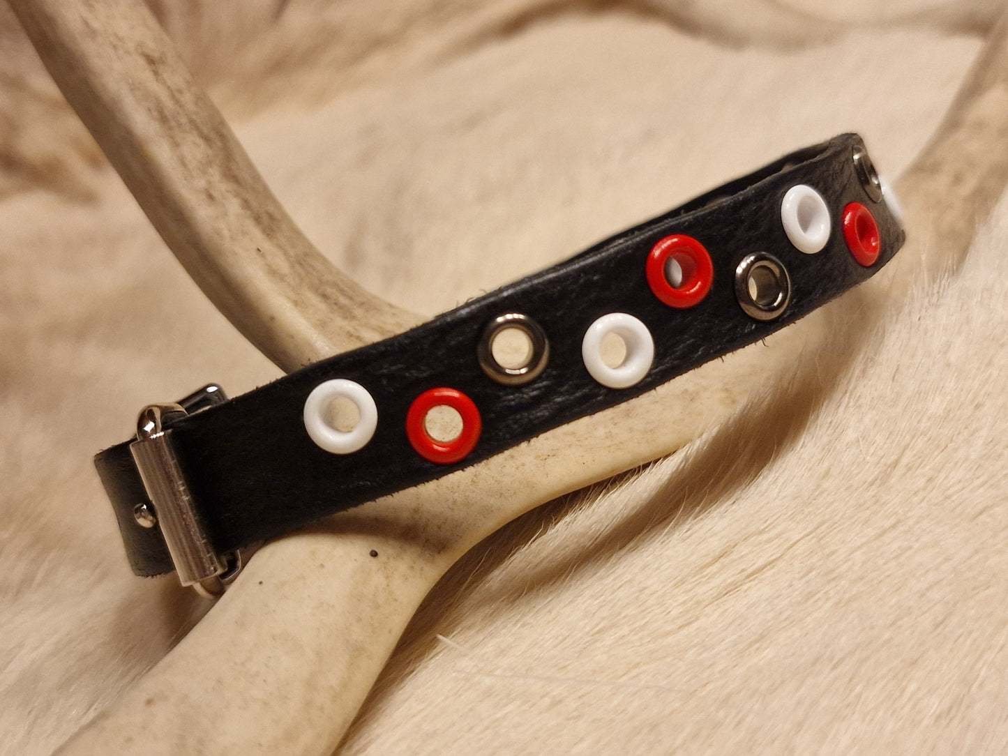 Hundhalsband SAAKSEN 27-30 cm