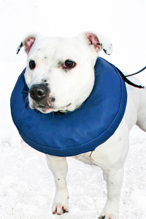 Hundkrage PetNation, uppblåsbar XS-XL
