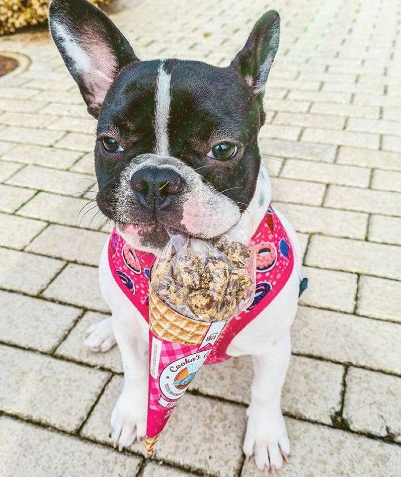 Beijinhos de Vaca – Krispiga och naturliga nötköttsgodis för hundar