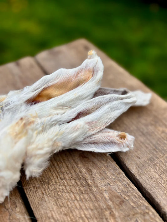 Kaninöron med päls