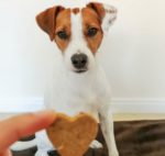 Cookas's Cookies Chicken Love