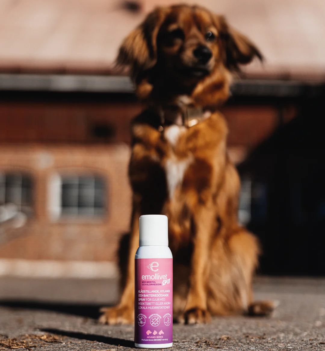 Emollivet SPOT - Klådstillande och bakteriedödande spray för häst och hund