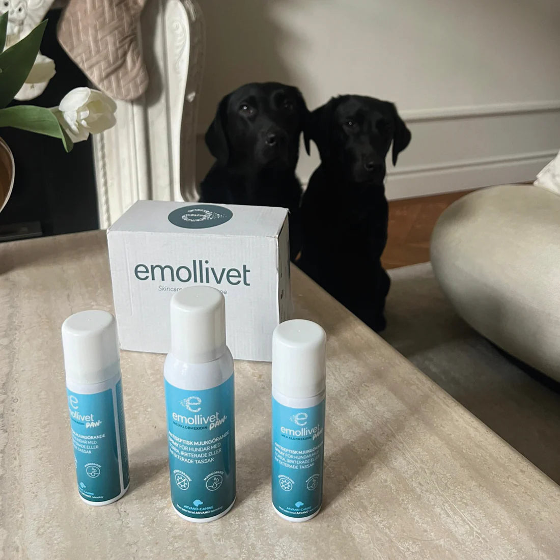 Emollivet PAW+ Spray för hundar med torra, irriterade eller infekterade tassar