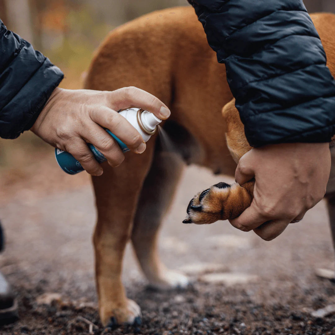Emollivet PAW+ Spray för hundar med torra, irriterade eller infekterade tassar
