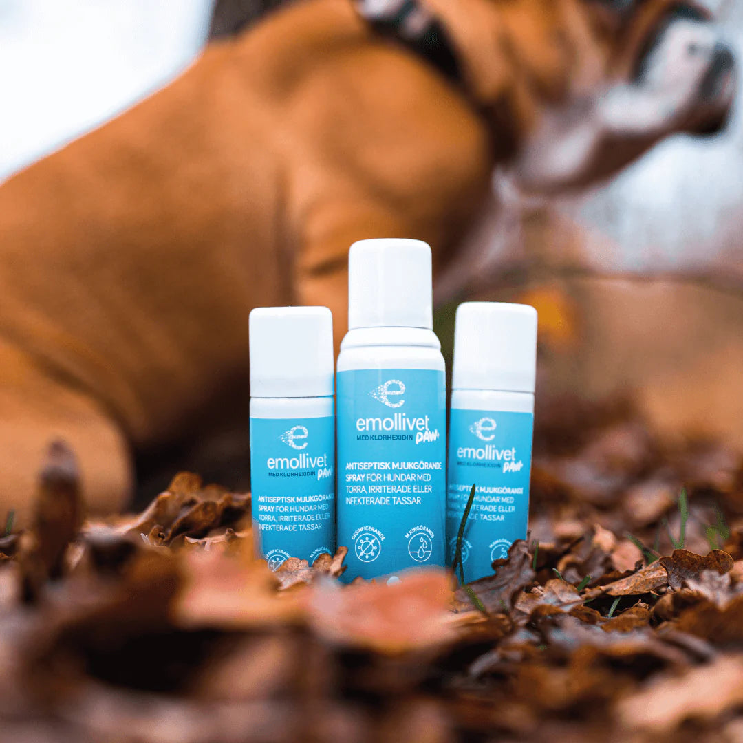 Emollivet PAW+ Spray för hundar med torra, irriterade eller infekterade tassar