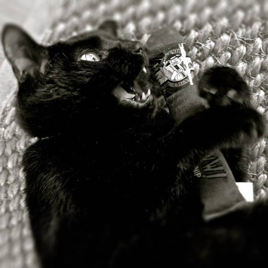 Yeowww Cigar Original Brown Singlar