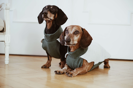 Dachshund fleecejumper Bono med krage