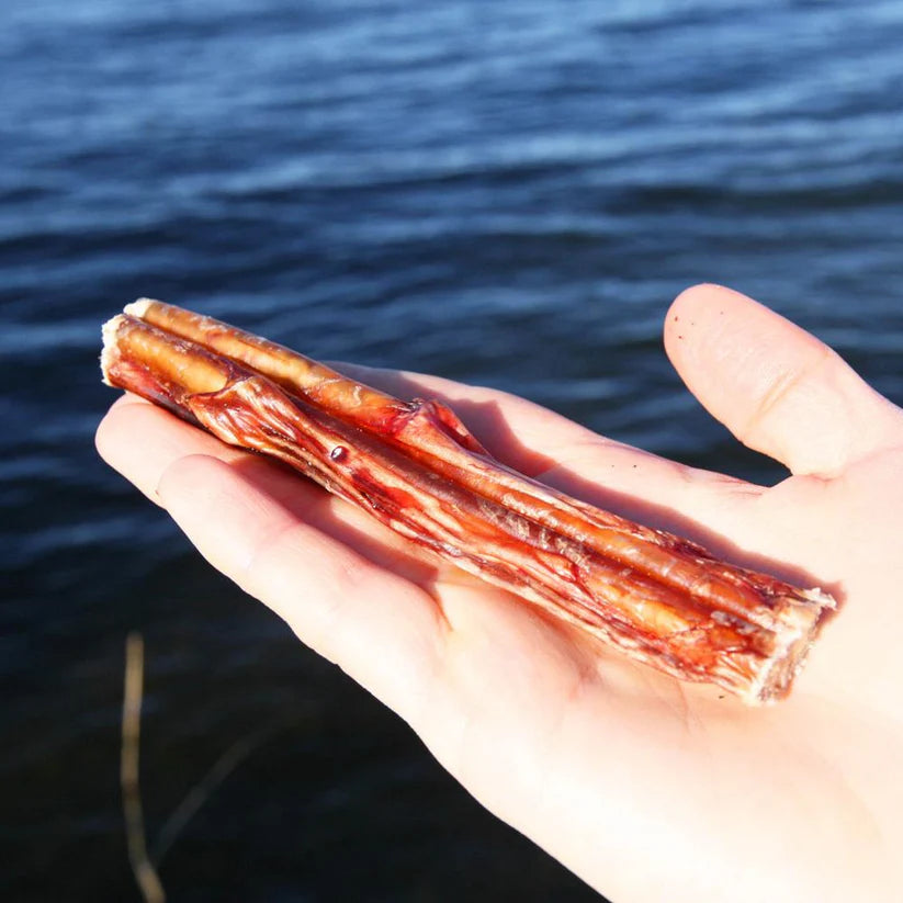 Svenskt hundgodis tjurmuskel 10 cm från Tassafritt