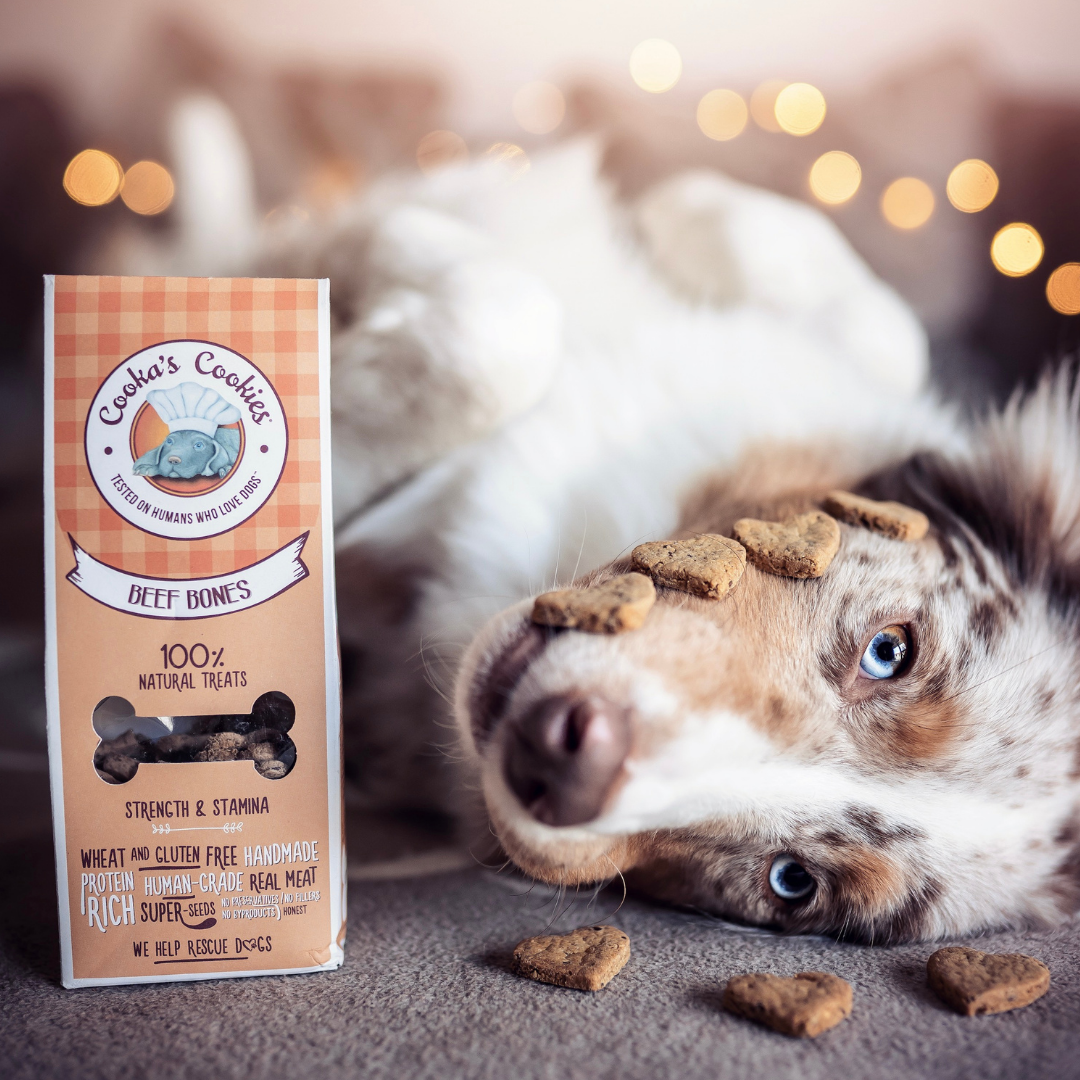 Beef Bones – Naturliga hundgodisar med nötkött