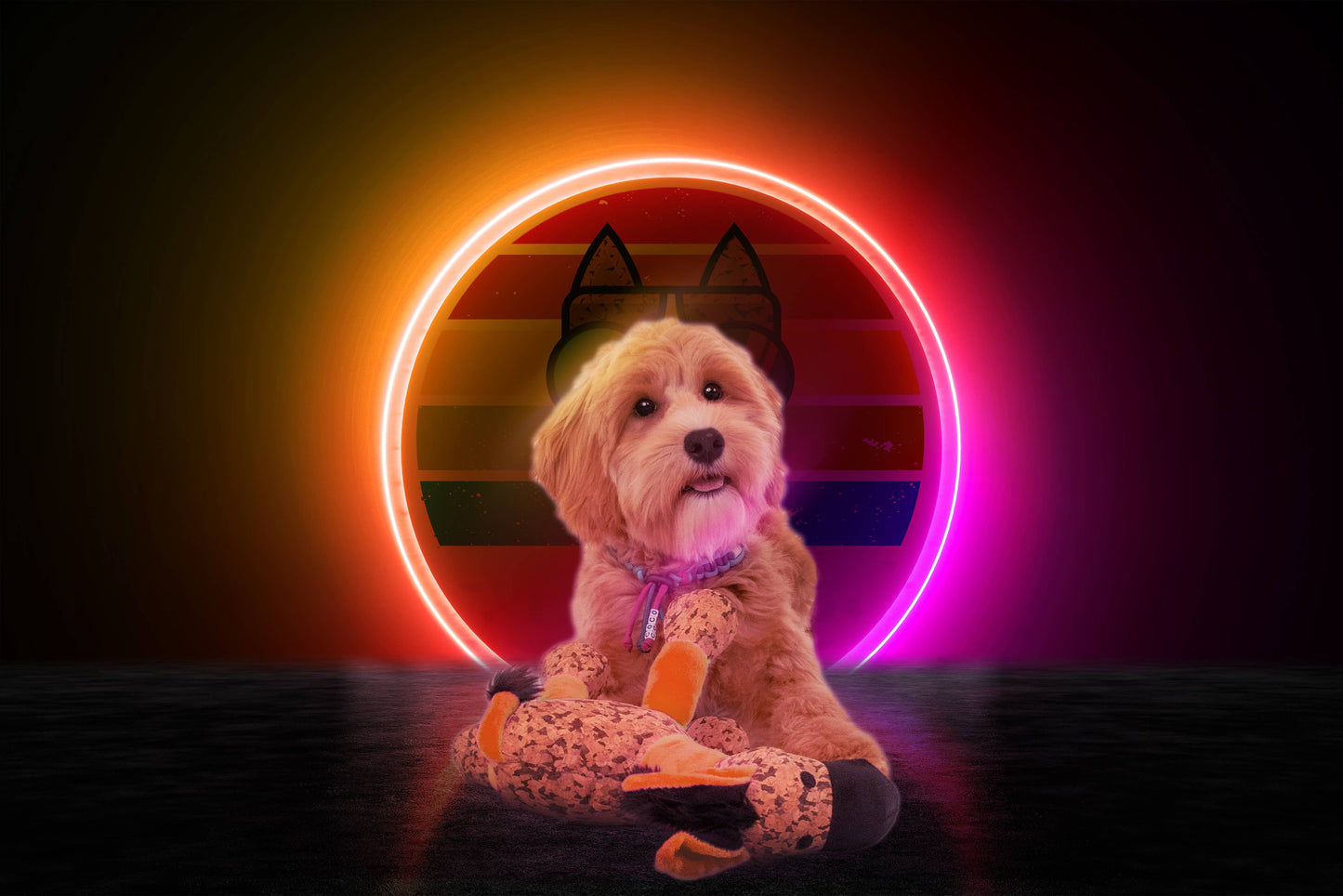 Retrodog Åsna Orange S