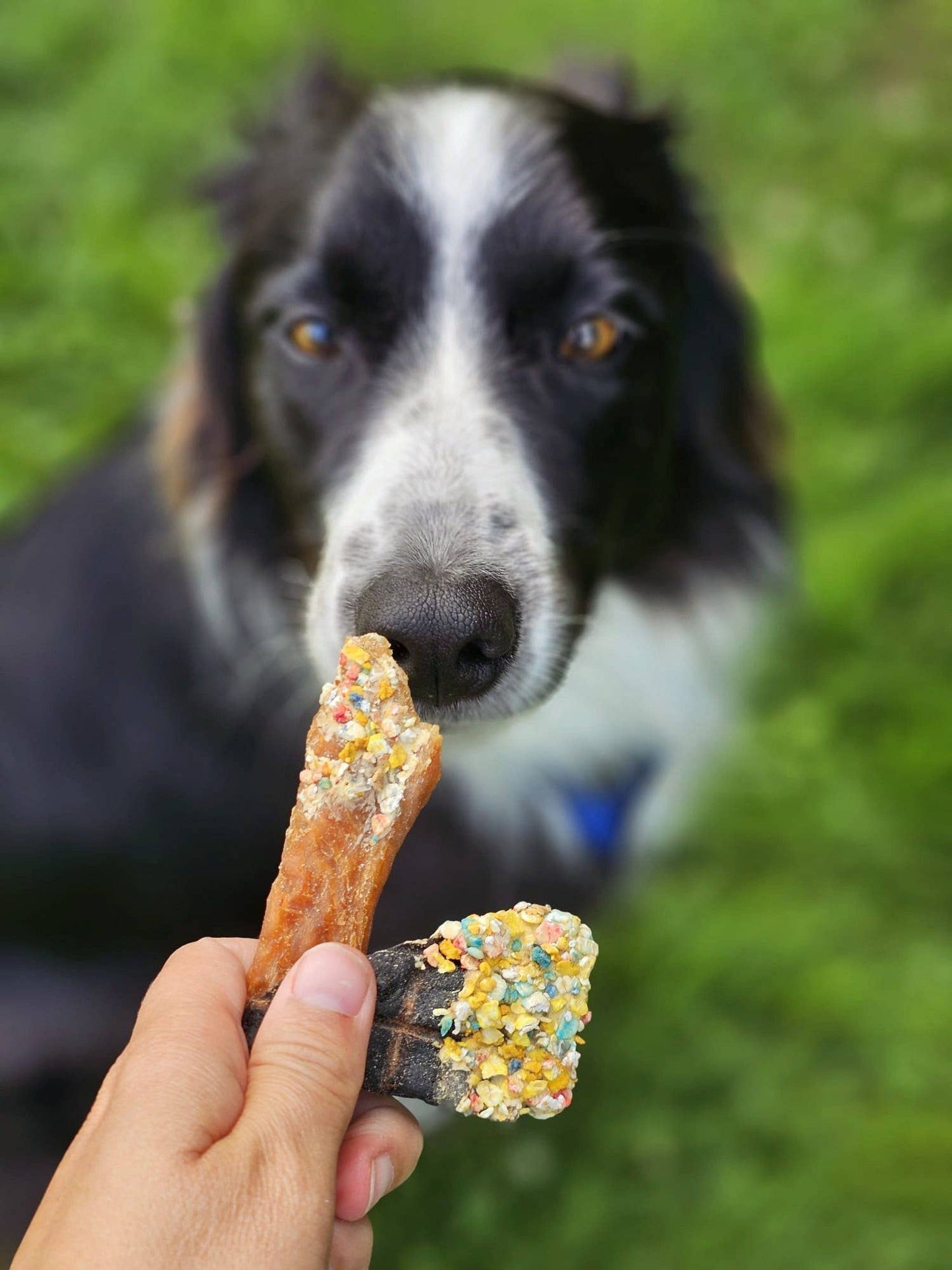 Candy Crush-paket – lufttorkade kött- och fiskgodisar med dogfetti