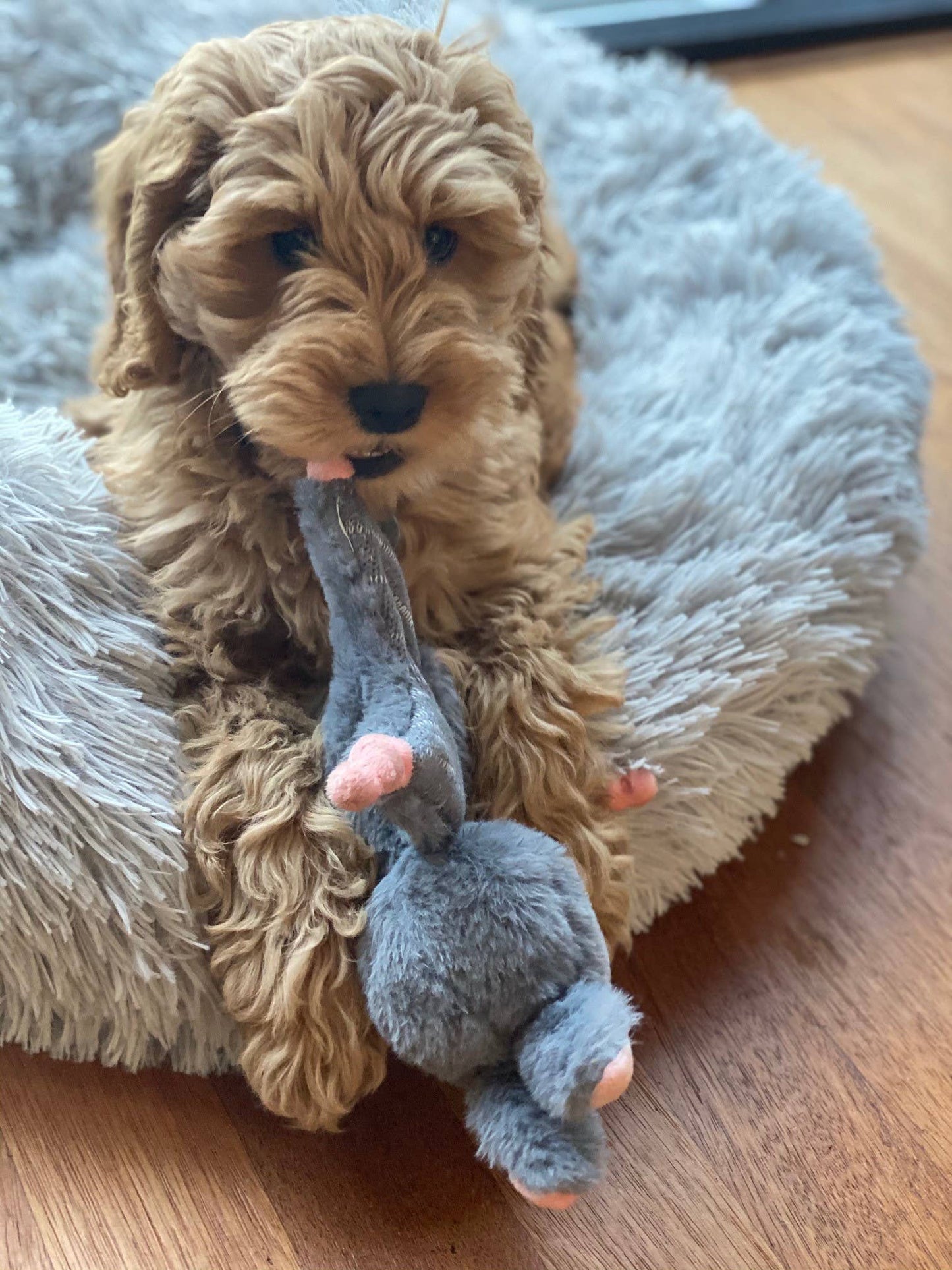 Bunny Puppy tuggrep med kaninmotiv