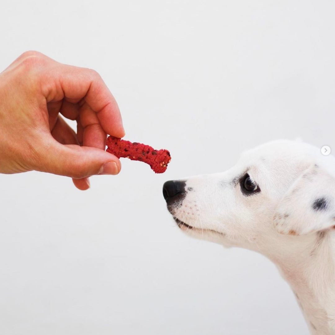 Lisboa Beet - Naturliga hundgodisar med superfoods