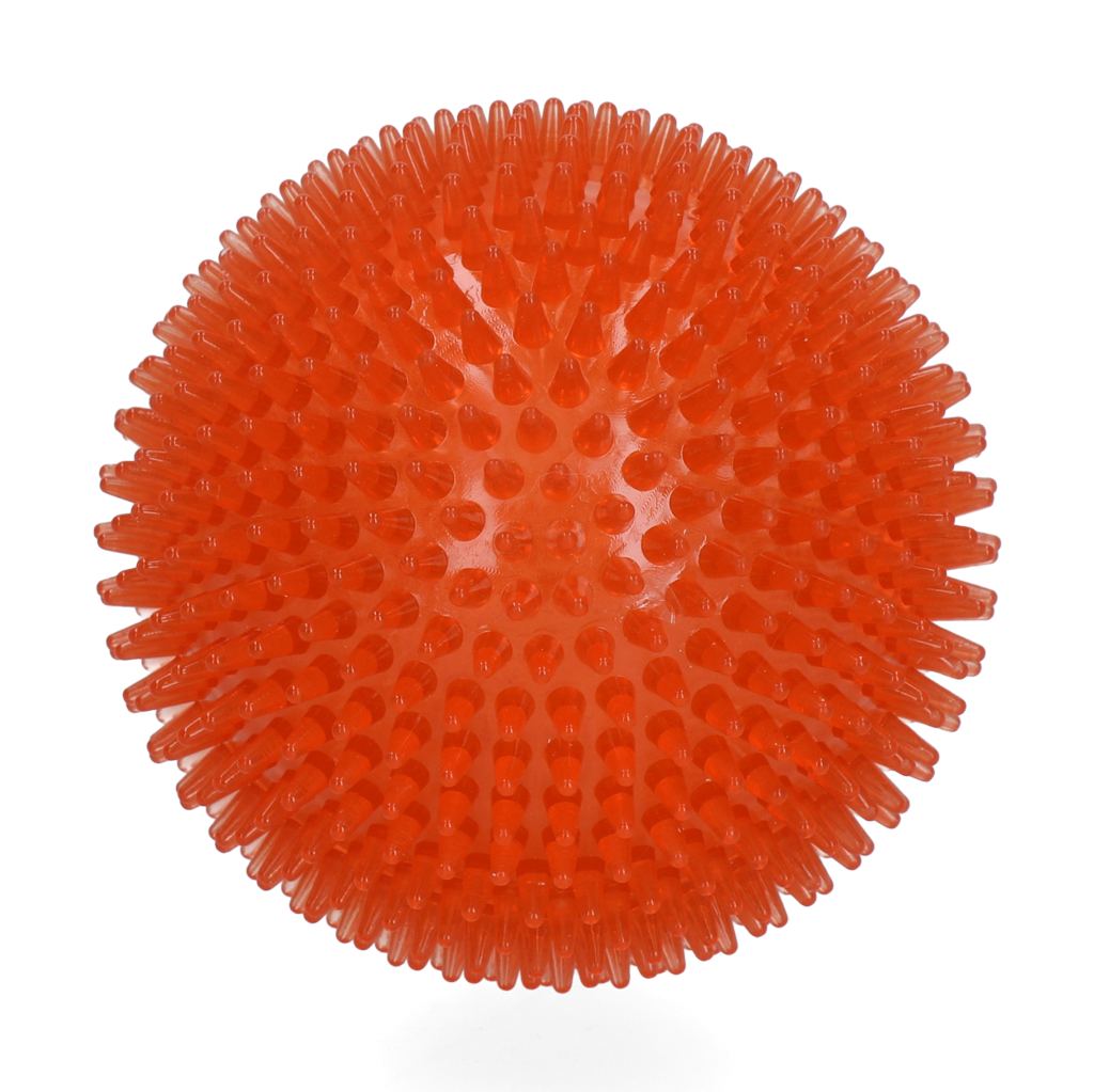Dog Comets Exoplanet Orange L
