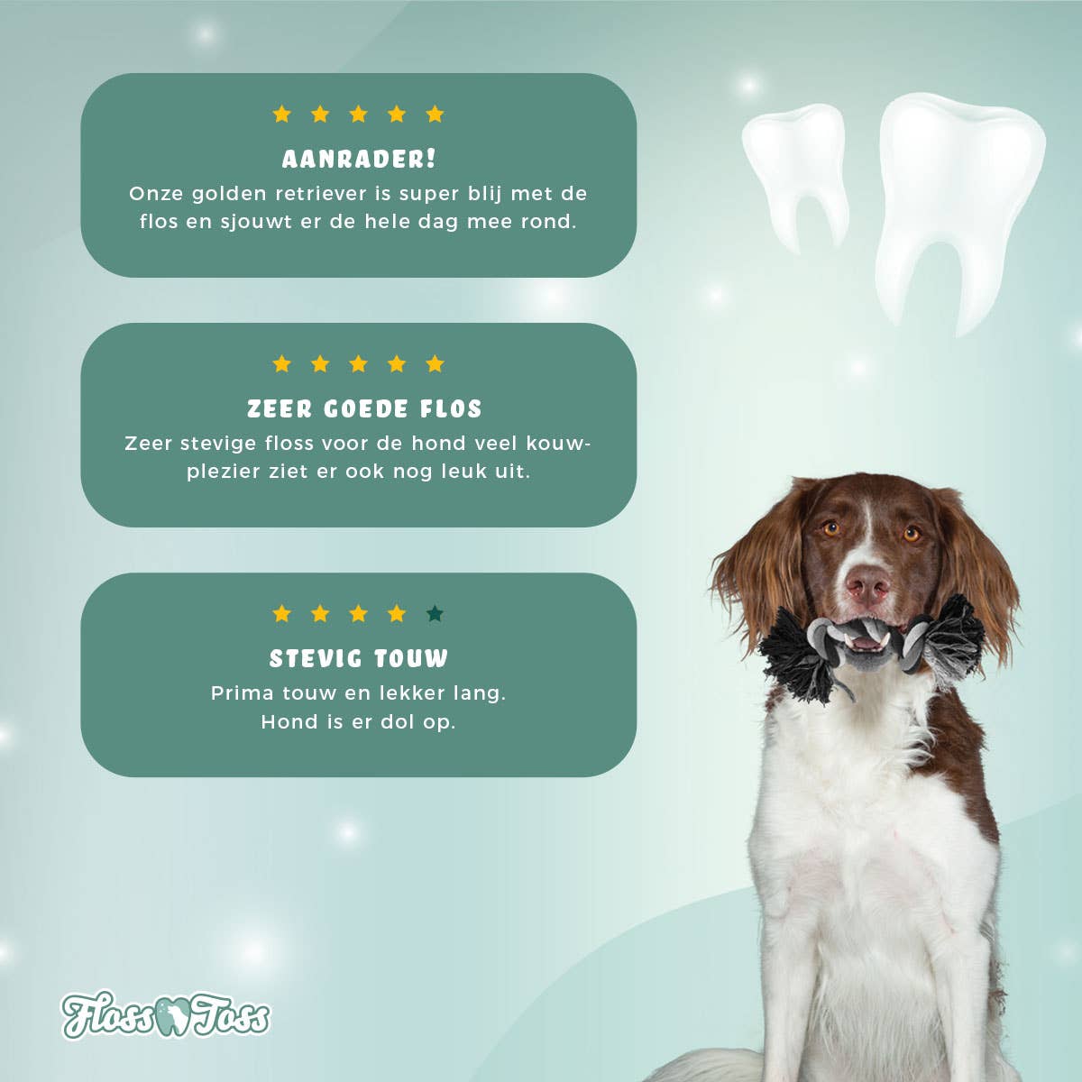 Floss Toss Dental Rep 2 Knutar 45 cm