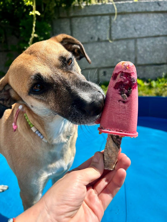 Ice-cream Mix