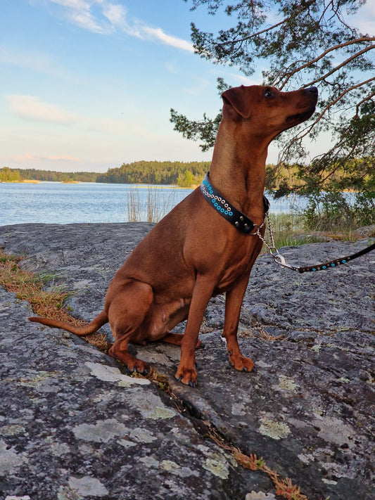 Hundkoppel DÅVLA 190 cm