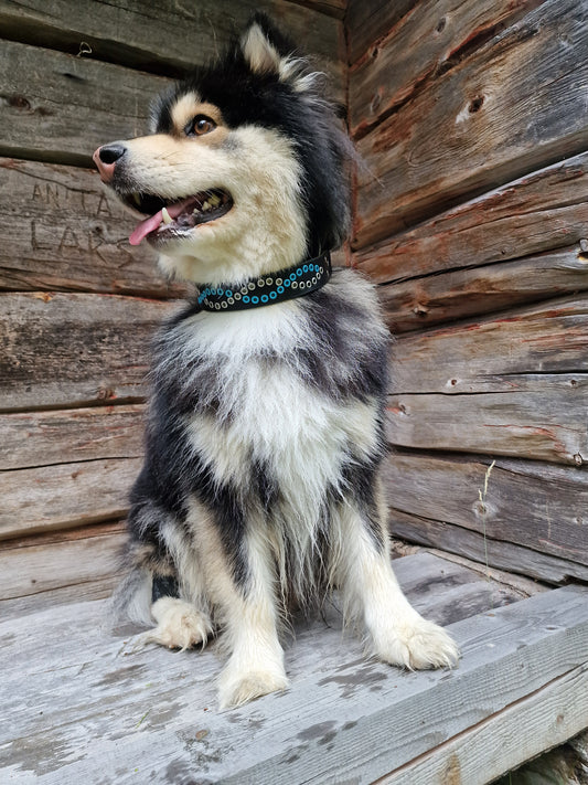Hundhalsband BLERIKEN 40 cm
