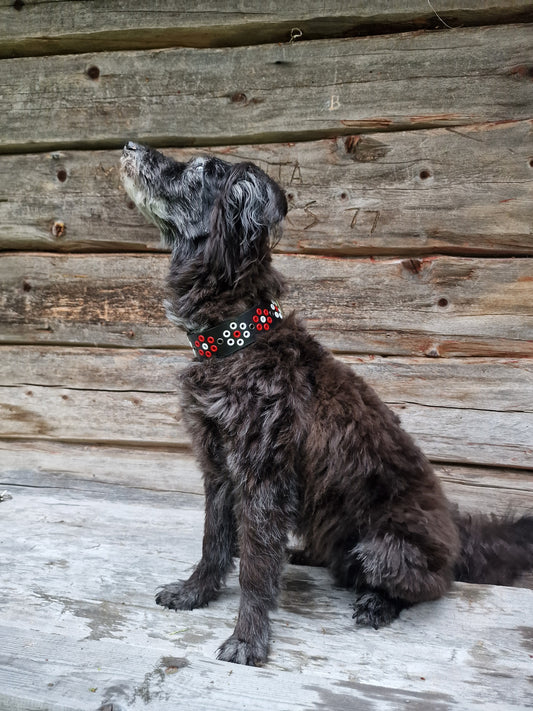 Hundhalsband GÅALTOE 32-38 cm