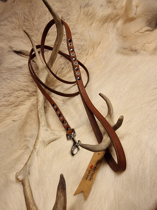 Hundkoppel DÅVLA 172 cm