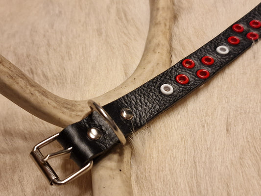 Hundhalsband VARDO 28-33 cm