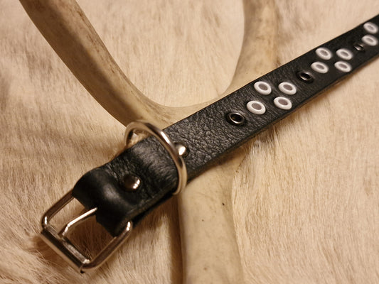 Hundhalsband VARDO 28-33 cm