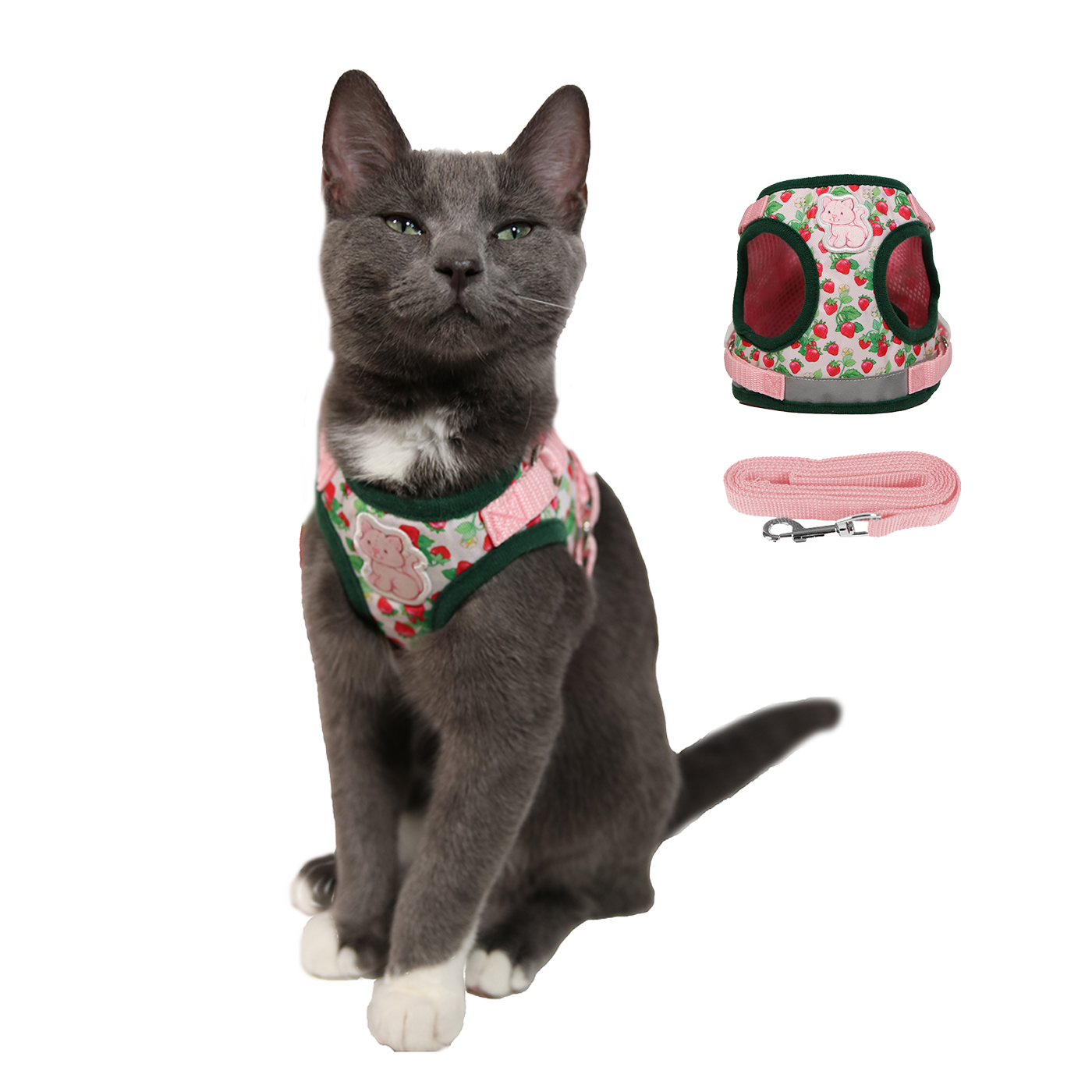 Strawberry Shortcake x Travel Cat sele och koppel för katt