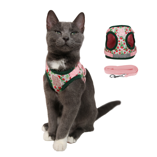 Strawberry Shortcake x Travel Cat sele och koppel för katt