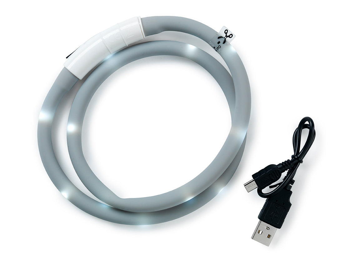 Blinkhalsband LED