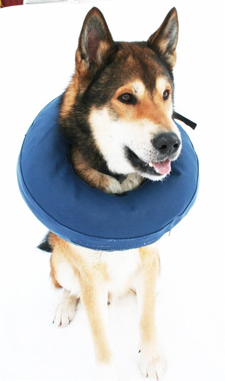 Hundkrage PetNation, uppblåsbar XS-XL