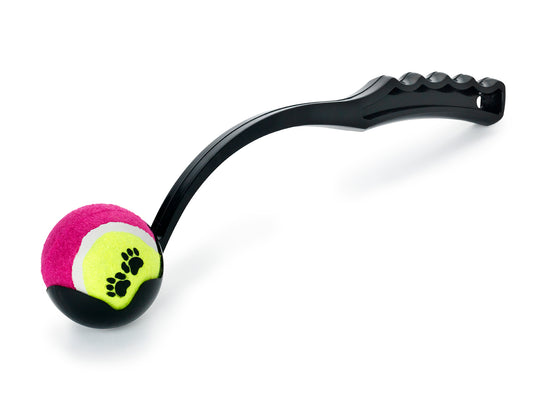 Leksak Bollkastare Wille Svart