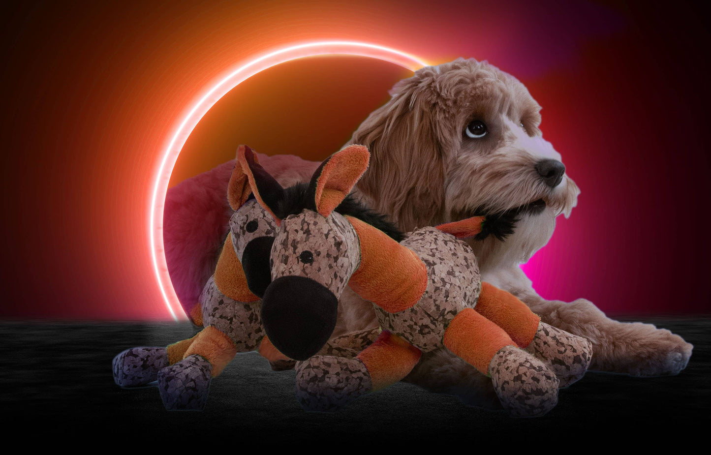 Retrodog Åsna Orange S