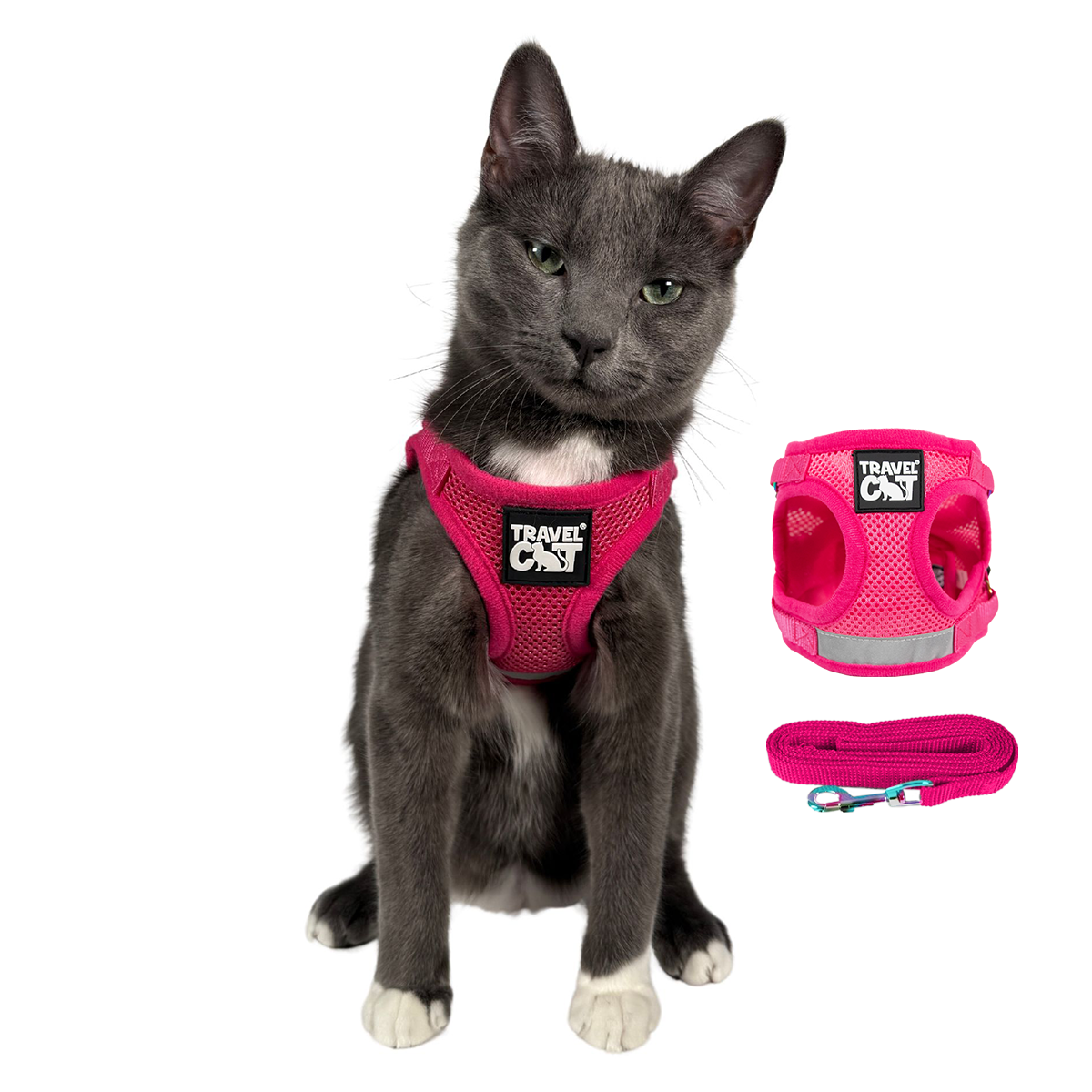 The Purrfectly Pink iriserande sele och koppel-set