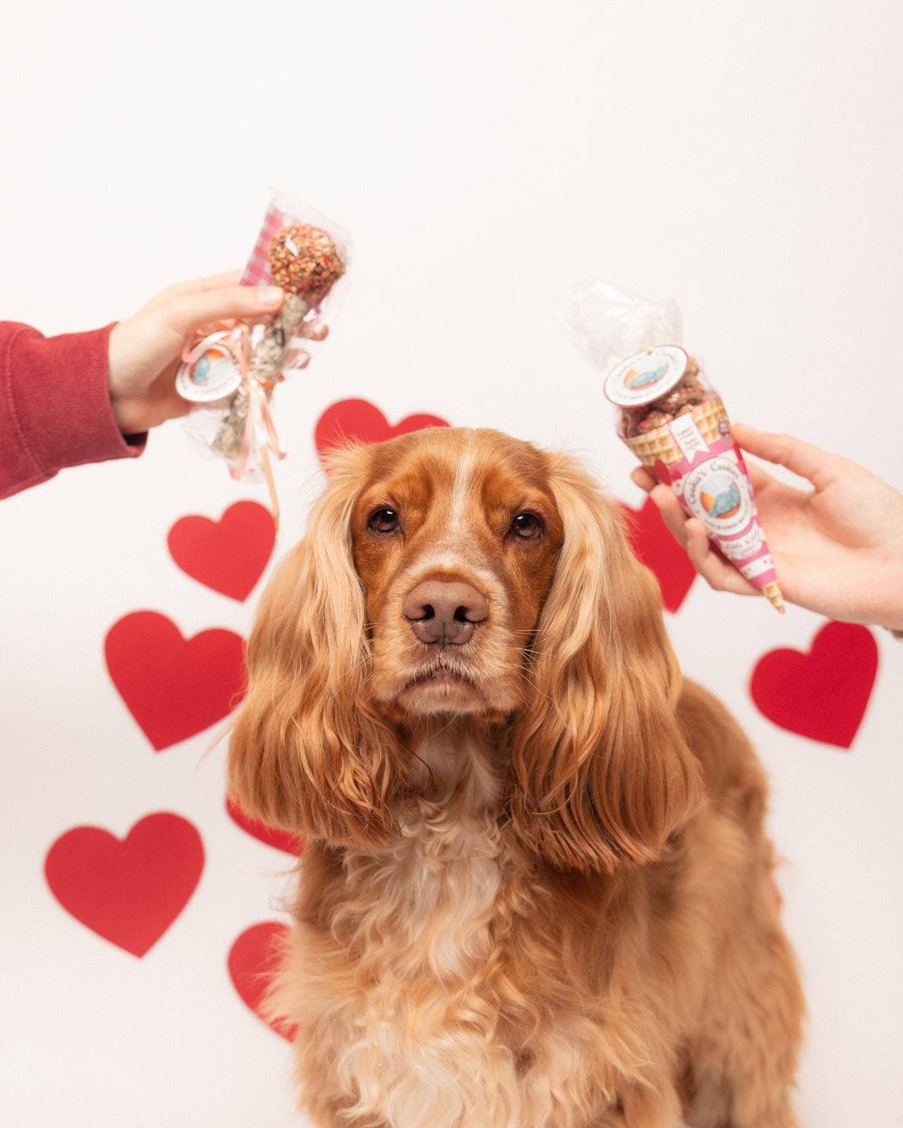 Pink Kisses – Kalkon och Tonfisk Hundgodis