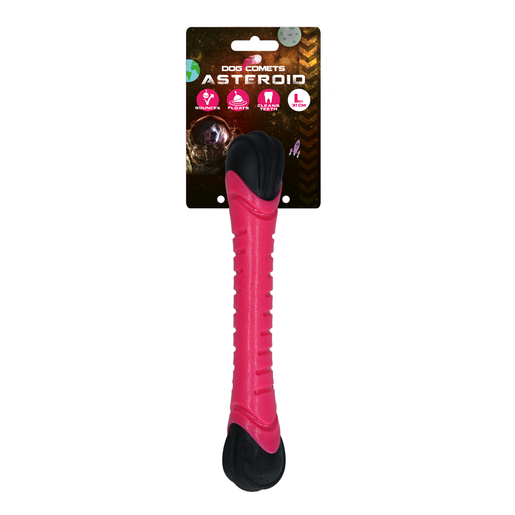 Dog Comets Asteroid Rosa L
