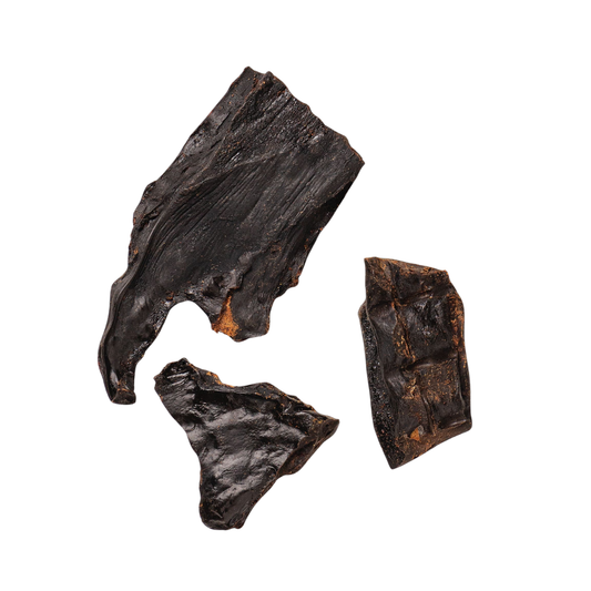 Beef Brownies – lufttorkade godbitar av nötlunga