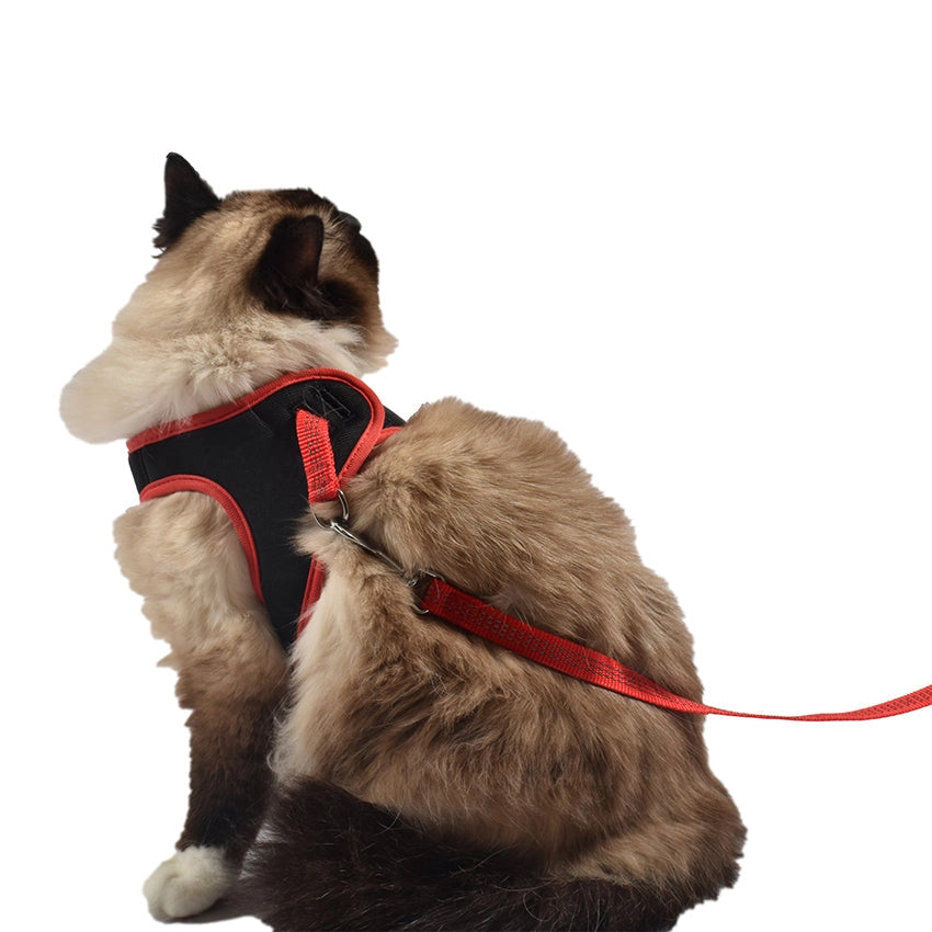 Bobby Safe bekvämt seleset för katter med koppel