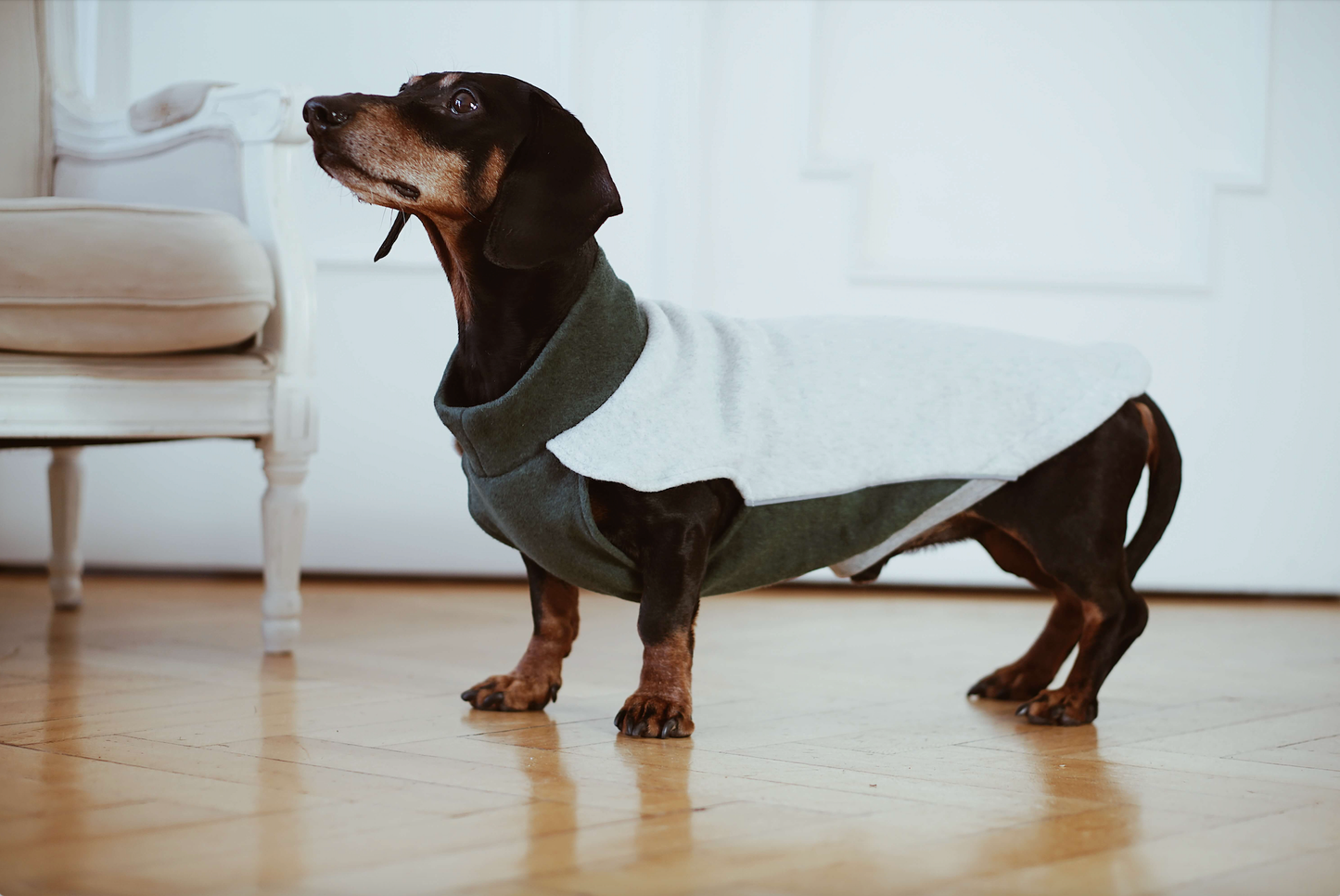 Dachshund fleecejumper Bono med krage