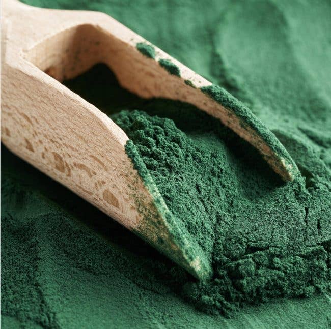 Green Spirulina - Näringstillskott för katt- och hundmat