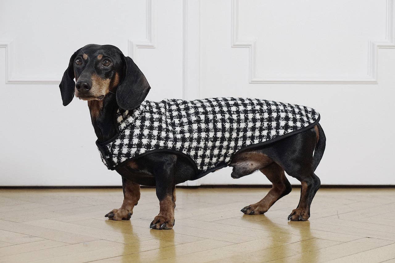 Dachshund Couture hundrock Emily i Paris i svartvitt hundtandsmönster