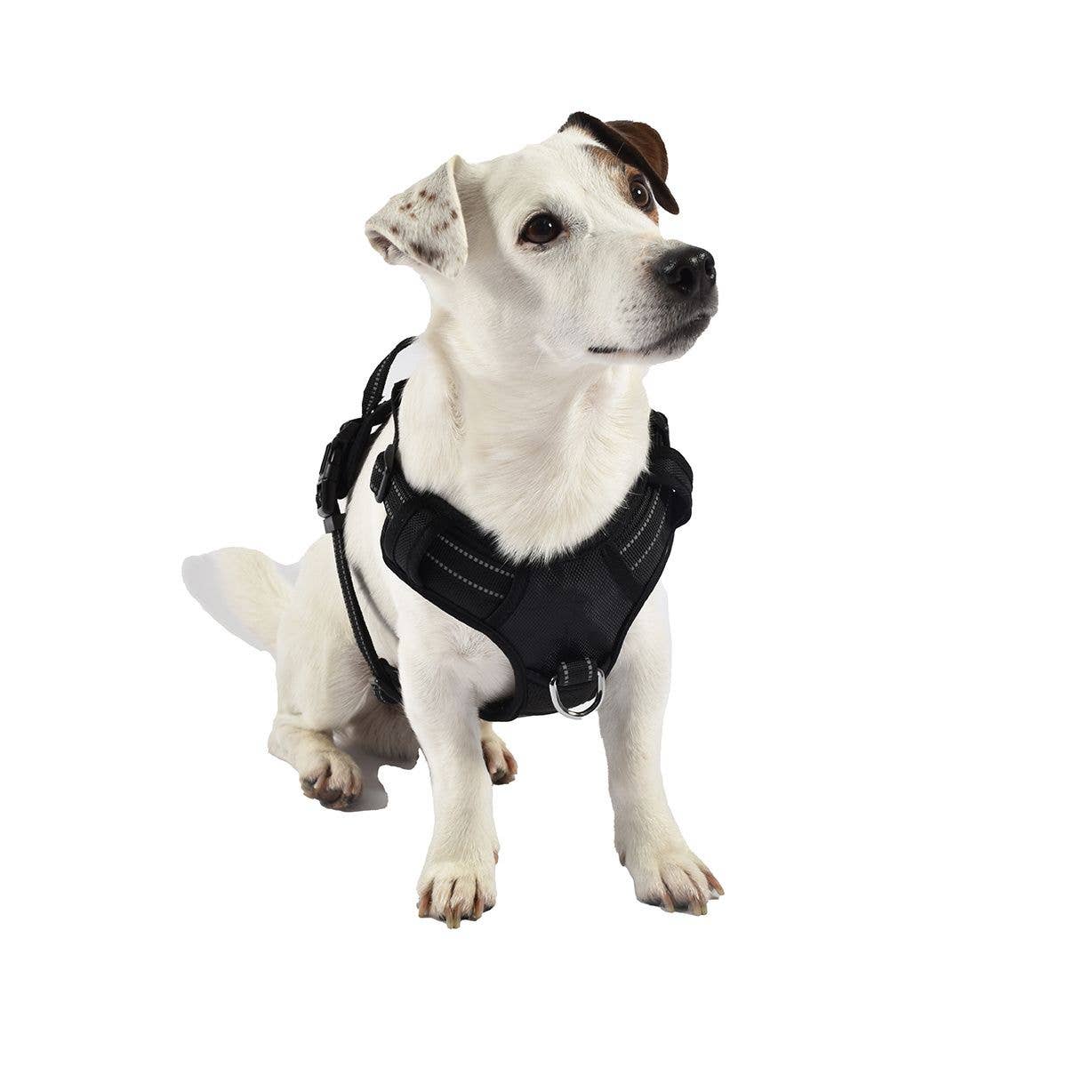 Hundsele Rando Walk från Croci – robust, bekväm, finns i 4 storlekar och 7 färger