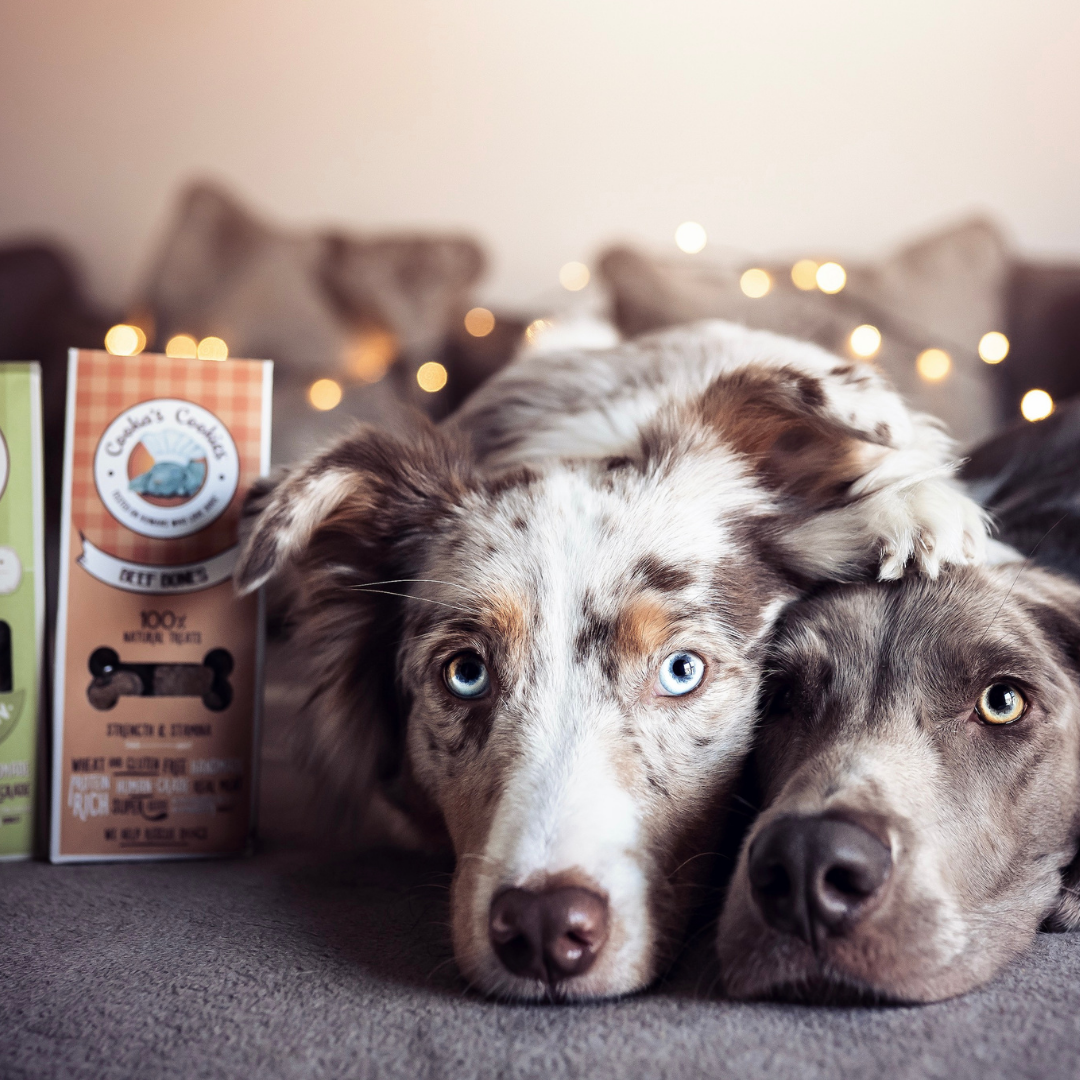 Beef Bones – Naturliga hundgodisar med nötkött