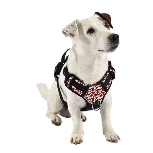 Anti-dragsele - Bobby Rando Monoi